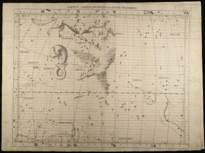 Plate 23 of John Flamsteed's celestial atlas, depicting the constellations Aquila, Sagitta, Vulpecula, Anser and Delphinus. Annotated in pencil and red ink by Caroline Herschel (RAS MSS Herschel C 2/10).