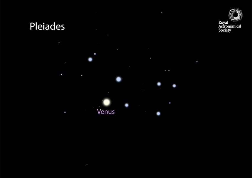 Venus in front of the Pleiades