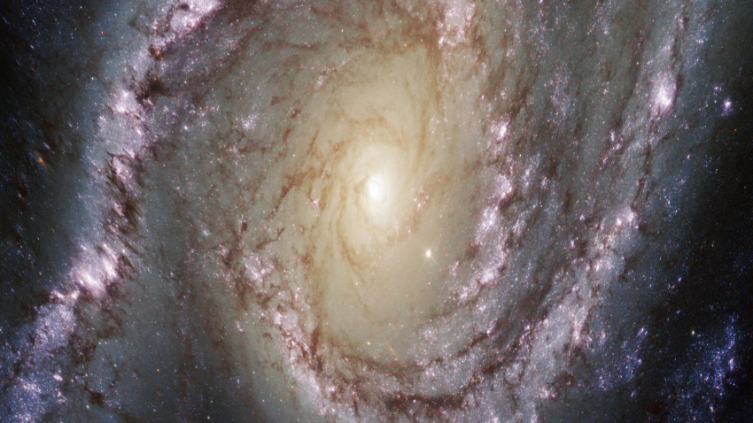 Stretched and distorted image of a spiral galaxy
