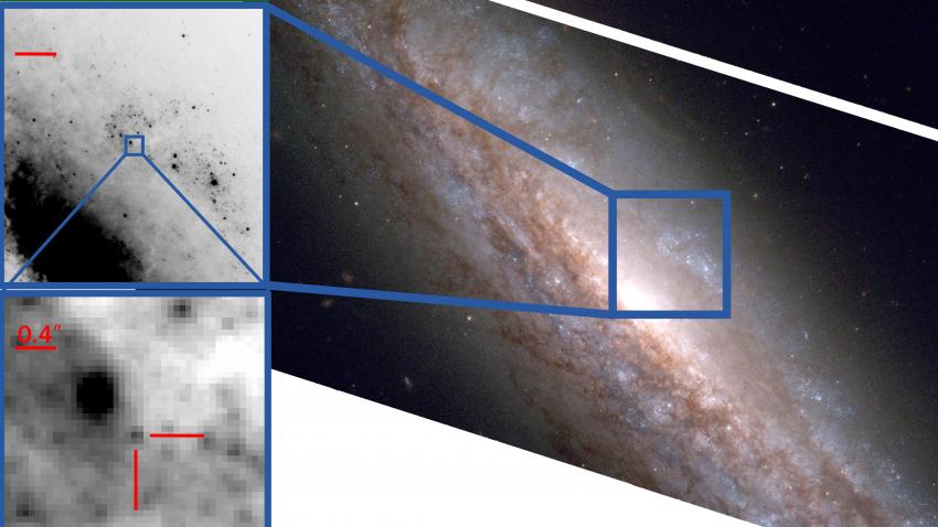 Panels of Hubble Space Telescope imaging of a supernova pre- and post-explosion