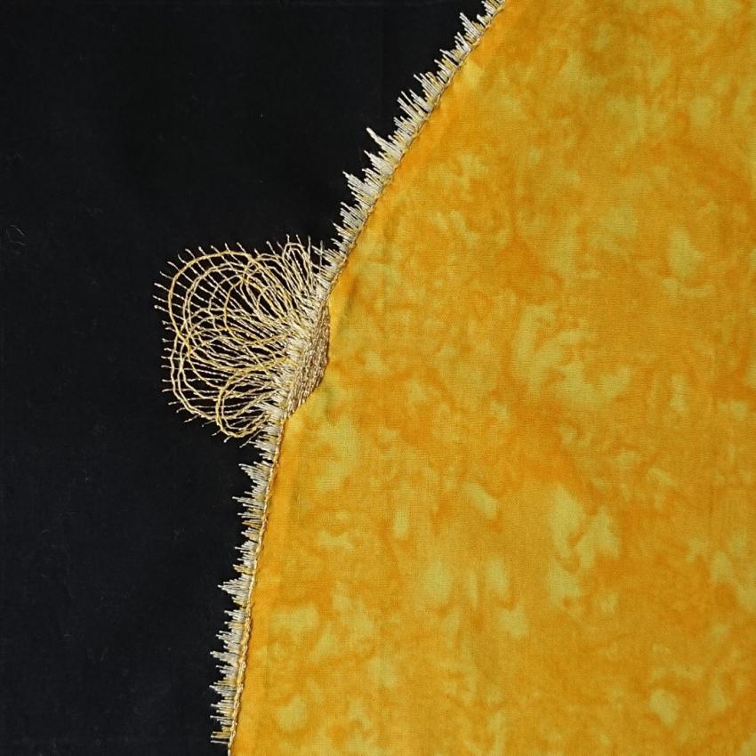Embroidered lines and loops represent the magnetic field lines of the Sun.