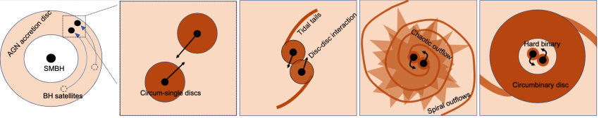 A series of cartoons showing the black hole binary formation mechanism.