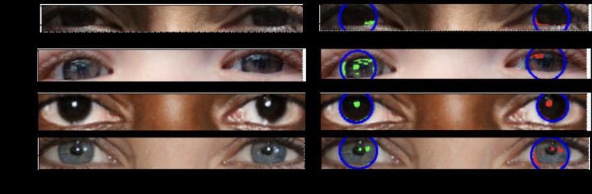 A series of deepfake eyes showing inconsistent reflections in each eye.