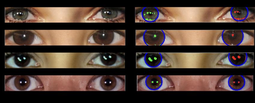 A series of real eyes showing largely consistent reflections in both eyes.
