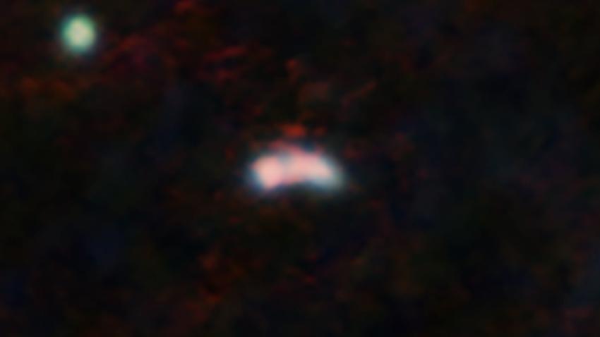 Galaxy Y1 and its surroundings as seen by the James Webb Space Telescope’s NIRCAM (blue and green) and by ALMA (red). 
