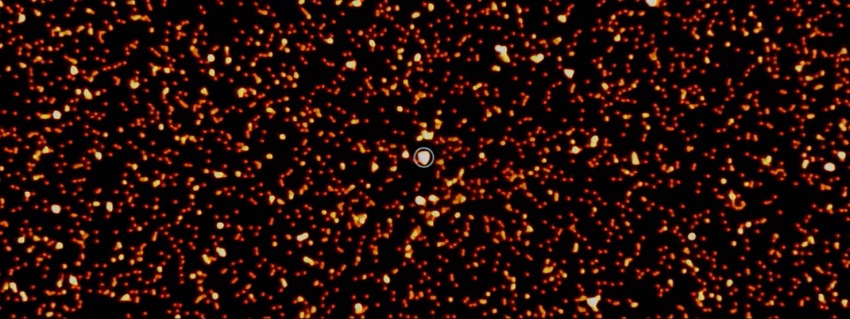eROSITA real image of a region of the X-ray sky centered at one of the quasars used in the new research.