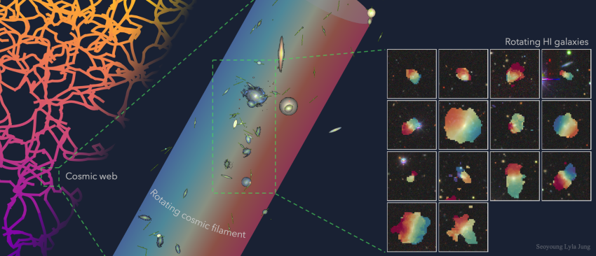 A figure illustrating the rotation of neutral hydrogen (right) in galaxies residing in an extended filament (middle), where the galaxies exhibit a coherent bulk rotational motion tracing the large-scale cosmic web (left).