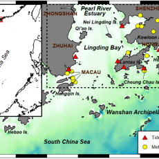 A map of the Lingding Bay area marked with red triangles and yellow circles, corresponding to tide gauges and meteorological stations respectively. The map is in a green hue, with a grey background.