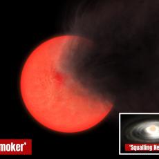 Artist impressions of a so-called 'Old Smoker' red giant star and 'Squalling Newborn' protostar, both observed as part of new research.