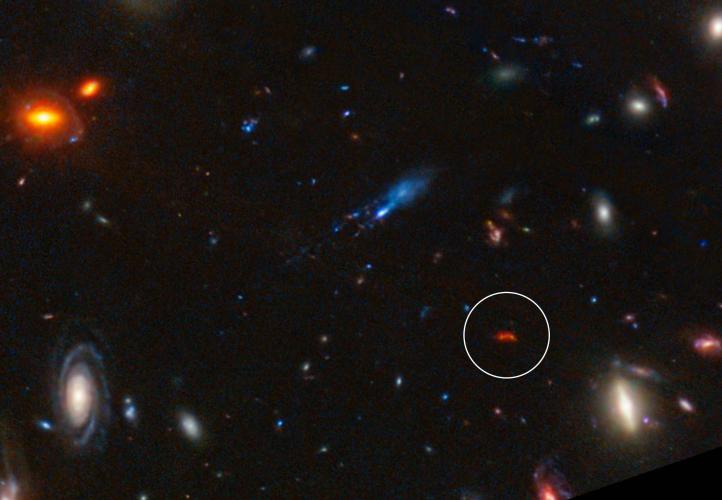 Glowing deep red from the distant past, the galaxy Y1 shines because of dust grains heated by newly-formed stars (circled in this image from the James Webb Space Telescope).