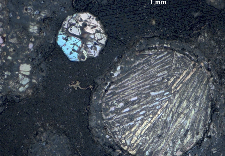 Reflected light image of a thin section of carbonaceous chondrite CV3 from NASA's Antarctic collection, analysed in the study. Several chondrules with bright olivine crystals embedded in a carbonaceous matrix can be seen.