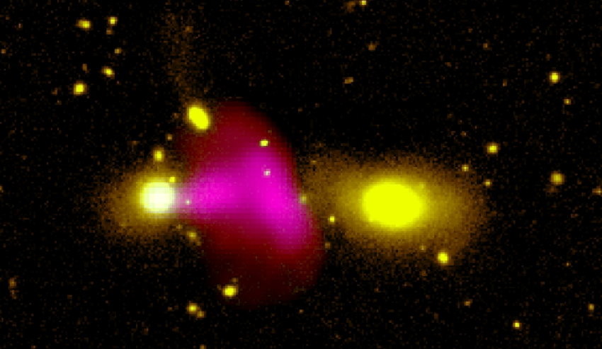 Three large blobs against the black backdrop of space. The one on the left is yellow, the middle is hot pink and shaped like a mushroom, and the one on the right is also yellow. The yellow blobs are galaxies and the pink is the radio jet being emitted from RAD12.