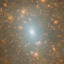 The dark matter distribution of a Milky Way mass halo in a Lambda-cold dark matter (LCDM) cosmological simulation.