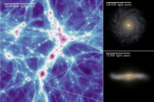 Visual impressions of the COLIBRE simulations